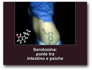 serotonina